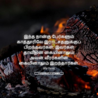 Picture 05 - 2 சாமுவேல் 21:22 TAMIRV - இந்த நான்கு - Bible Verse Picture