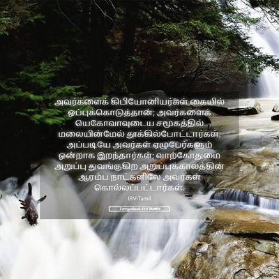 Picture 05 - 2 சாமுவேல் 21:9 TAMIRV - அவர்களைக் - Bible Verse Picture