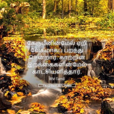 Picture 05 - 2 சாமுவேல் 22:11 TAMIRV - கேருபீனின்மேல் - Bible Verse Picture