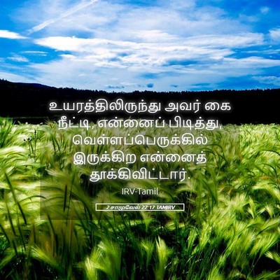 Picture 05 - 2 சாமுவேல் 22:17 TAMIRV - உயரத்திலிருந்து - Bible Verse Picture