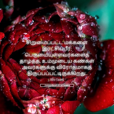 Picture 05 - 2 சாமுவேல் 22:28 TAMIRV - சிறுமைப்பட்ட - Bible Verse Picture