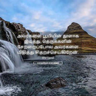 Picture 05 - 2 சாமுவேல் 22:43 TAMIRV - அவர்களை பூமியின் - Bible Verse Picture