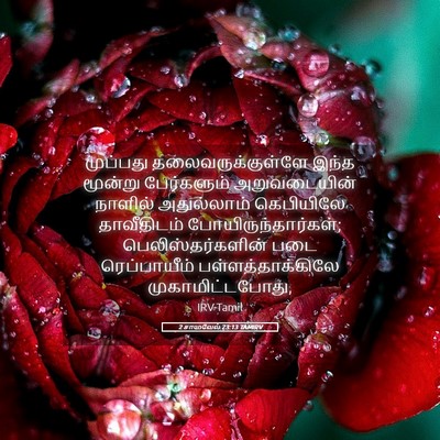 Picture 05 - 2 சாமுவேல் 23:13 TAMIRV - முப்பது - Bible Verse Picture