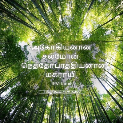 Picture 05 - 2 சாமுவேல் 23:28 TAMIRV - அகோகியனான - Bible Verse Picture
