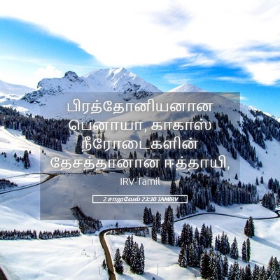 Picture 05 - 2 சாமுவேல் 23:30 TAMIRV - பிரத்தோனியனான - Bible Verse Picture
