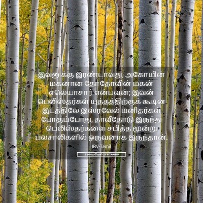 Picture 05 - 2 சாமுவேல் 23:9 TAMIRV - இவனுக்கு - Bible Verse Picture