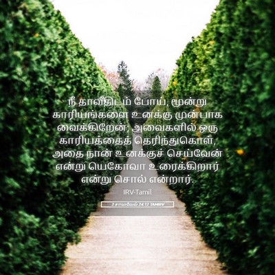 Picture 05 - 2 சாமுவேல் 24:12 TAMIRV - நீ தாவீதிடம் போய், - Bible Verse Picture