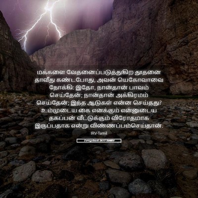 Picture 05 - 2 சாமுவேல் 24:17 TAMIRV - மக்களை - Bible Verse Picture