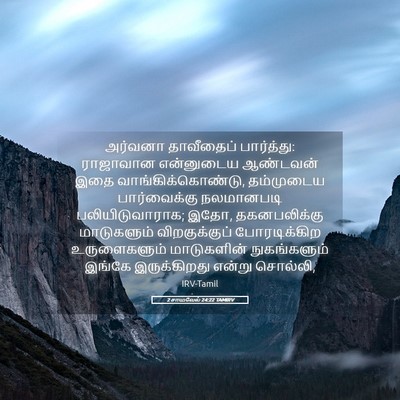 Picture 05 - 2 சாமுவேல் 24:22 TAMIRV - அர்வனா தாவீதைப் - Bible Verse Picture