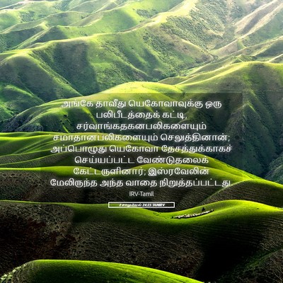 Picture 05 - 2 சாமுவேல் 24:25 TAMIRV - அங்கே தாவீது - Bible Verse Picture