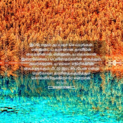 Picture 05 - 2 சாமுவேல் 3:18 TAMIRV - இப்போதும் - Bible Verse Picture