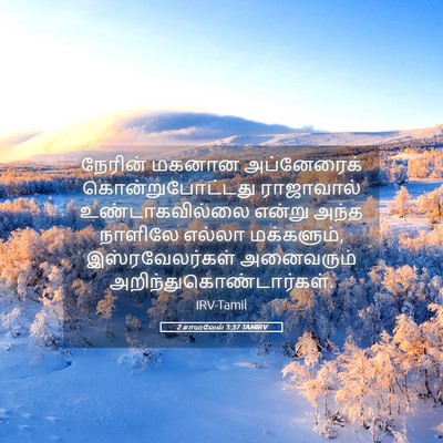 Picture 05 - 2 சாமுவேல் 3:37 TAMIRV - நேரின் மகனான - Bible Verse Picture