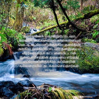 Picture 05 - 2 சாமுவேல் 4:12 TAMIRV - அவர்களைக் - Bible Verse Picture