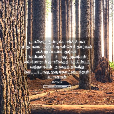 Picture 05 - 2 சாமுவேல் 5:17 TAMIRV - தாவீதை - Bible Verse Picture