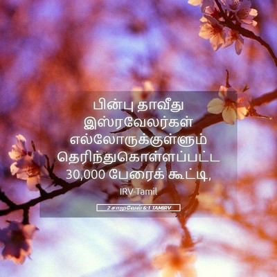 Picture 05 - 2 சாமுவேல் 6:1 TAMIRV - பின்பு தாவீது - Bible Verse Picture
