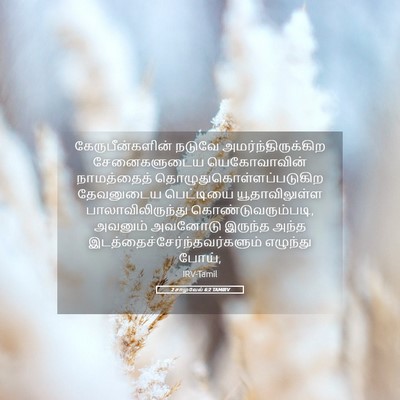 Picture 05 - 2 சாமுவேல் 6:2 TAMIRV - கேருபீன்களின் - Bible Verse Picture