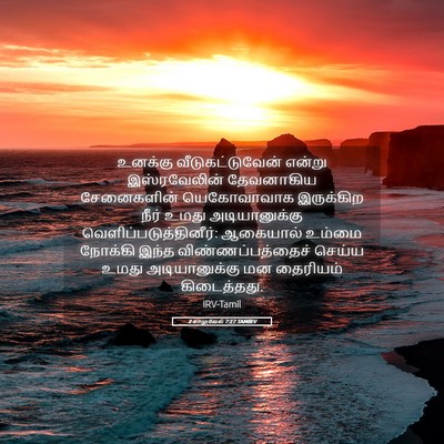 Picture 05 - 2 சாமுவேல் 7:27 TAMIRV - உனக்கு - Bible Verse Picture