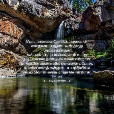 Picture 05 - 2 சாமுவேல் 9:11 TAMIRV - சீபா, ராஜாவை - Bible Verse Picture