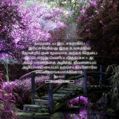 Picture 05 - 2 தீமோத்தேயு 1:10 TAMIRV - நம்முடைய - Bible Verse Picture