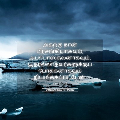 Picture 05 - 2 தீமோத்தேயு 1:11 TAMIRV - அதற்கு நான் - Bible Verse Picture
