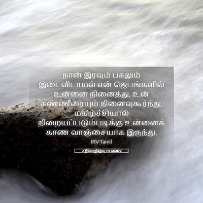 Picture 05 - 2 தீமோத்தேயு 1:3 TAMIRV - நான் இரவும் - Bible Verse Picture