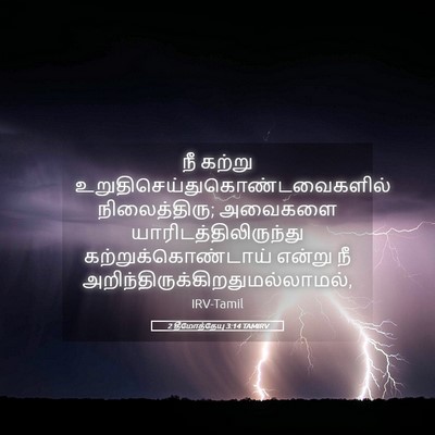 Picture 05 - 2 தீமோத்தேயு 3:14 TAMIRV - நீ கற்று - Bible Verse Picture