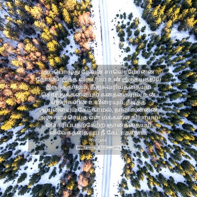 Picture 05 - 2 நாளாகமம் 1:11 TAMIRV - அப்பொழுது தேவன் - Bible Verse Picture