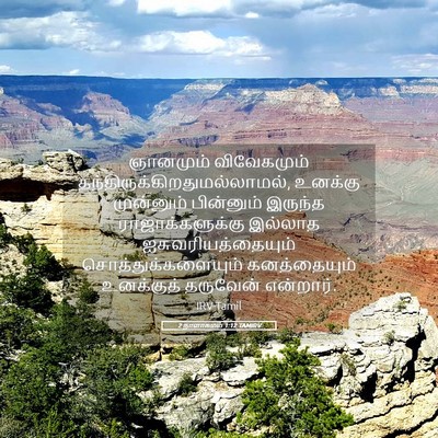 Picture 05 - 2 நாளாகமம் 1:12 TAMIRV - ஞானமும் விவேகமும் - Bible Verse Picture
