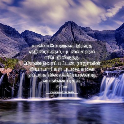 Picture 05 - 2 நாளாகமம் 1:16 TAMIRV - சாலொமோனுக்கு - Bible Verse Picture