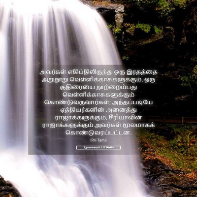 Picture 05 - 2 நாளாகமம் 1:17 TAMIRV - அவர்கள் - Bible Verse Picture