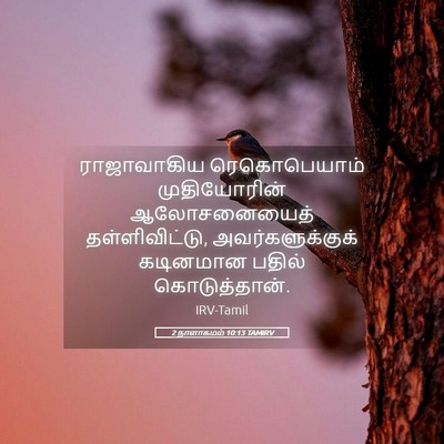 Picture 05 - 2 நாளாகமம் 10:13 TAMIRV - ராஜாவாகிய - Bible Verse Picture