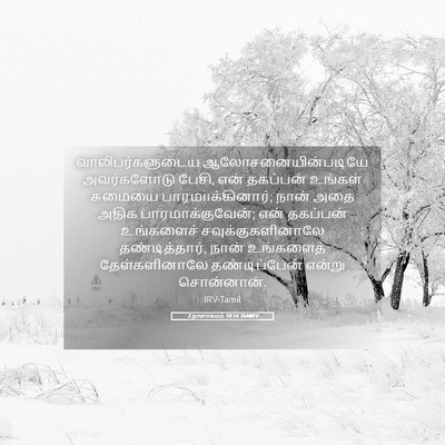 Picture 05 - 2 நாளாகமம் 10:14 TAMIRV - வாலிபர்களுடைய - Bible Verse Picture