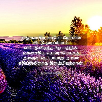 Picture 05 - 2 நாளாகமம் 10:2 TAMIRV - ராஜாவாகிய - Bible Verse Picture