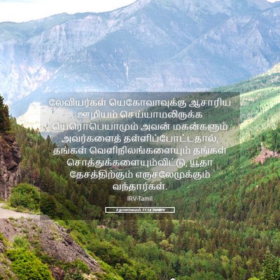 Picture 05 - 2 நாளாகமம் 11:14 TAMIRV - லேவியர்கள் - Bible Verse Picture