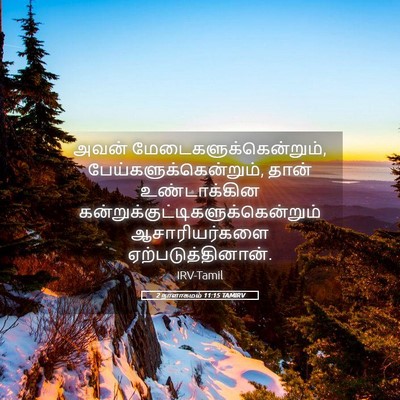 Picture 05 - 2 நாளாகமம் 11:15 TAMIRV - அவன் - Bible Verse Picture