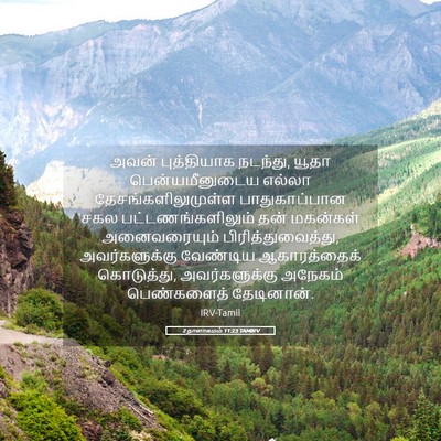 Picture 05 - 2 நாளாகமம் 11:23 TAMIRV - அவன் புத்தியாக - Bible Verse Picture
