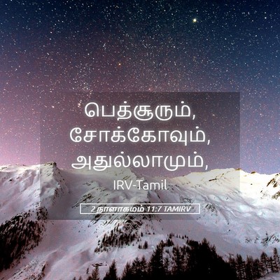 Picture 05 - 2 நாளாகமம் 11:7 TAMIRV - பெத்சூரும், - Bible Verse Picture