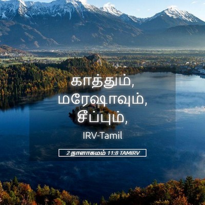 Picture 05 - 2 நாளாகமம் 11:8 TAMIRV - காத்தும், - Bible Verse Picture
