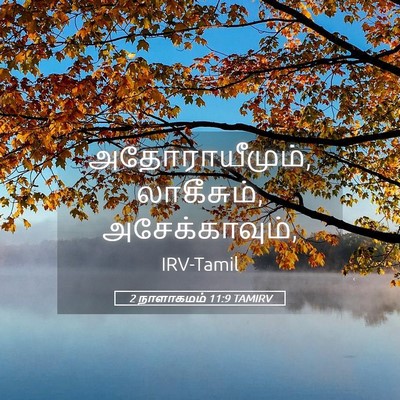 Picture 05 - 2 நாளாகமம் 11:9 TAMIRV - அதோராயீமும், - Bible Verse Picture