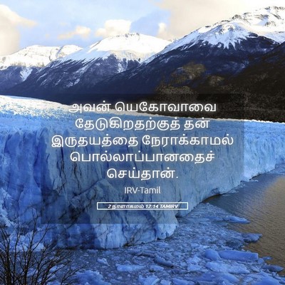 Picture 05 - 2 நாளாகமம் 12:14 TAMIRV - அவன் யெகோவாவை - Bible Verse Picture
