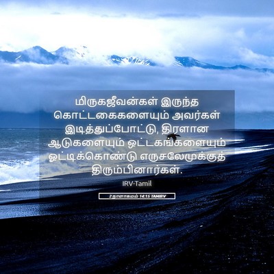 Picture 05 - 2 நாளாகமம் 14:15 TAMIRV - மிருகஜீவன்கள் - Bible Verse Picture