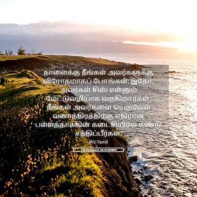 Picture 05 - 2 நாளாகமம் 20:16 TAMIRV - நாளைக்கு நீங்கள் - Bible Verse Picture
