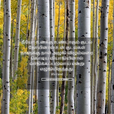 Picture 05 - 2 நாளாகமம் 21:15 TAMIRV - நீயோ உனக்கு - Bible Verse Picture