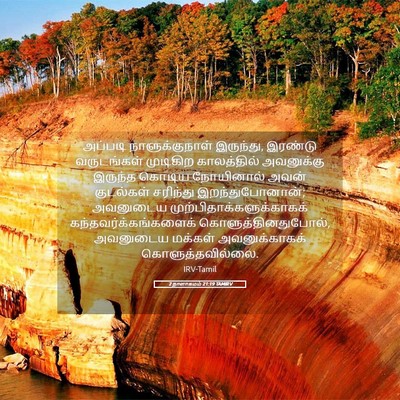 Picture 05 - 2 நாளாகமம் 21:19 TAMIRV - அப்படி - Bible Verse Picture