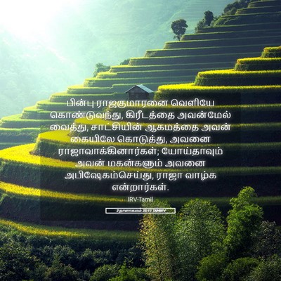 Picture 05 - 2 நாளாகமம் 23:11 TAMIRV - பின்பு ராஜகுமாரனை - Bible Verse Picture