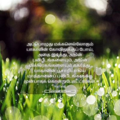 Picture 05 - 2 நாளாகமம் 23:17 TAMIRV - அப்பொழுது - Bible Verse Picture