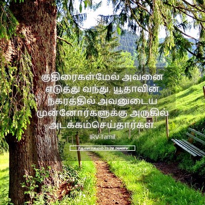 Picture 05 - 2 நாளாகமம் 25:28 TAMIRV - குதிரைகள்மேல் - Bible Verse Picture