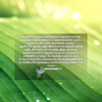 Picture 05 - 2 நாளாகமம் 25:5 TAMIRV - அமத்சியா யூதா - Bible Verse Picture