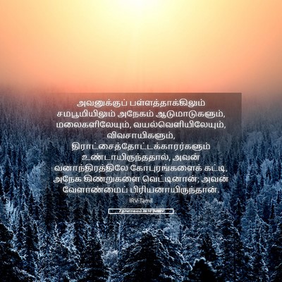 Picture 05 - 2 நாளாகமம் 26:10 TAMIRV - அவனுக்குப் - Bible Verse Picture