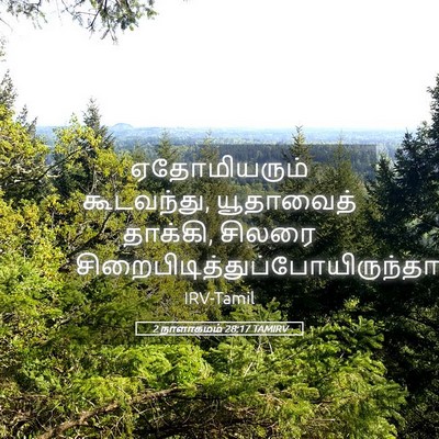 Picture 05 - 2 நாளாகமம் 28:17 TAMIRV - ஏதோமியரும் - Bible Verse Picture
